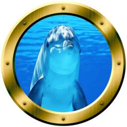 Ship Window Frame Dolphin Porthole - Ocean Wall Decal Peel & Stick Porpoise Sticker Mural Vwaq Gp29 - thumbnail 2
