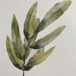 Wall Decal Set - 56Pk Olive Leaves Wall Decals Nursery Decal Bedroom Watercolour Stickers By Dizzy Duck - thumbnail 3
