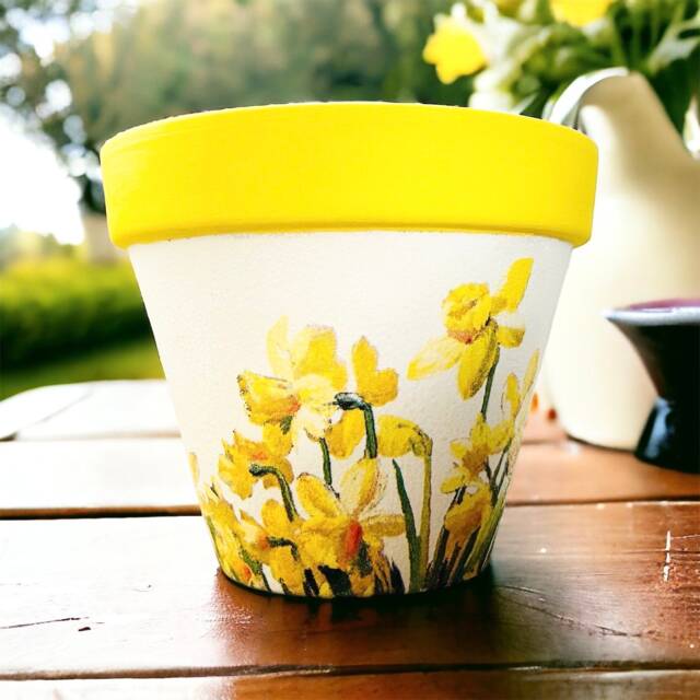 Daffodil Flower Pot, Plant Garden Gifts, Decorations, Themed Daffodils For Mum, Mothers Day - image 1