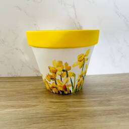 Daffodil Flower Pot, Plant Garden Gifts, Decorations, Themed Daffodils For Mum, Mothers Day - thumbnail 2
