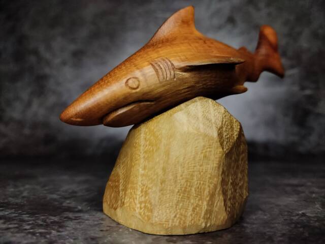 Handmade Wooden Shark Sculpture Natural Buckthorn, Black Locust Stand - image 1