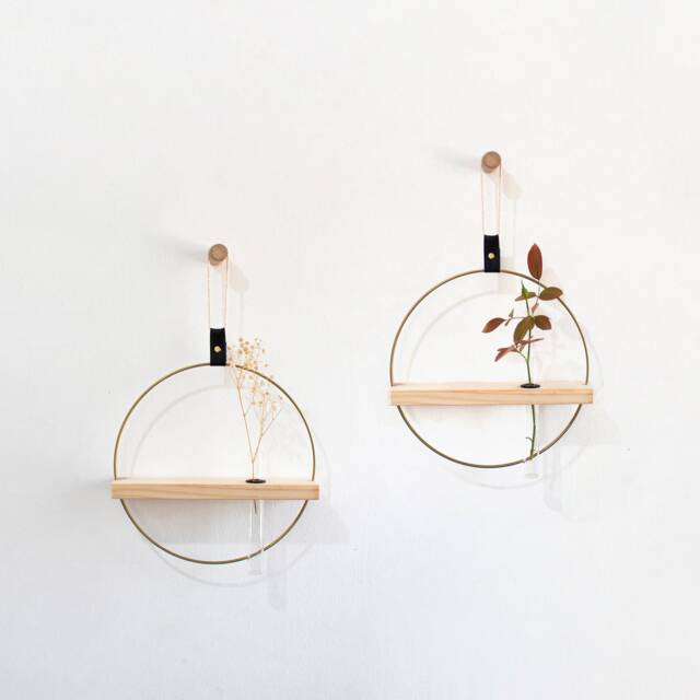 Propagation Wall Plant Holder Set, Test Tube Propagation, Station Wall, Propagating Plants, Hanging - image 1