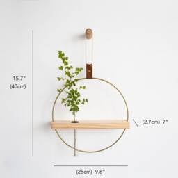 Propagation Wall Plant Holder Set, Test Tube Propagation, Station Wall, Propagating Plants, Hanging - thumbnail 2