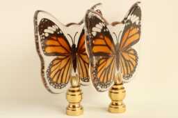 Asian Tiger Butterfly Specimen Lamp Finials - Natural Butterflies in Clear Acrylic On Shiny Brass Hardware A Matching Pair - thumbnail 1