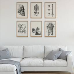Minimalist Spine Anatomy Art Print - Black Line Vertebrae Detail Poster Doctor Gift, Chiropractor Office Decor Medical Illustration - thumbnail 2