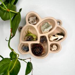 Wall Altar in Sand - Curio Shelf, Altar, Waldorf Decor, Crystal Display - thumbnail 1
