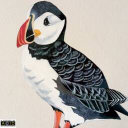 Puffin Wall Decal, Bathroom Art, Nautical Decor, Beach Bird Sticker, Peel & Stick Decal - thumbnail 2