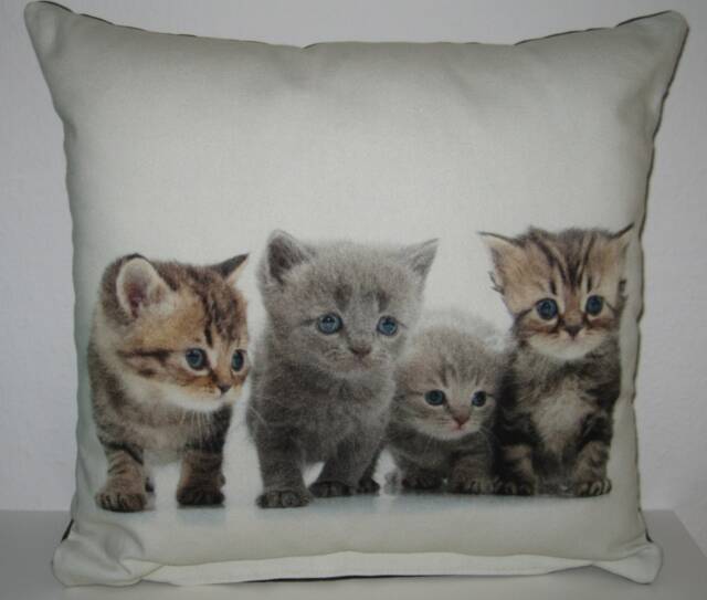 Decorative Pillow Kittens Without Inner Cushion - image 1