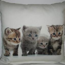 Decorative Pillow Kittens Without Inner Cushion - thumbnail 3
