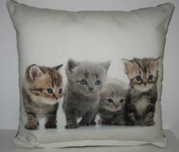 Decorative Pillow Kittens Without Inner Cushion - thumbnail 1