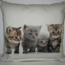 Decorative Pillow Kittens Without Inner Cushion - thumbnail 4