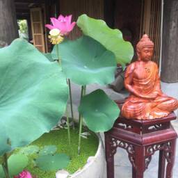 Sitting Wooden Buddha in Japanese Style - thumbnail 3