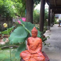 Sitting Wooden Buddha in Japanese Style - thumbnail 4
