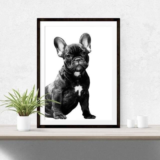 French Bulldog Pet Print, Dog Poster, Poster Frenchie Lover Gift, Wall Art, Decor 135 - image 1