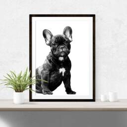 French Bulldog Pet Print, Dog Poster, Poster Frenchie Lover Gift, Wall Art, Decor 135 - thumbnail 1