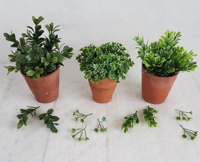 Faux Boxwood Plant Set in Genuine Hand Thrown Vintage Terracotta Pots Trio Small Green Artificial Plants - image 1