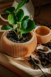 Medium Planter 71P01.500.oak - Oak Structure Ecofriendly 3D Printed Plant Pot