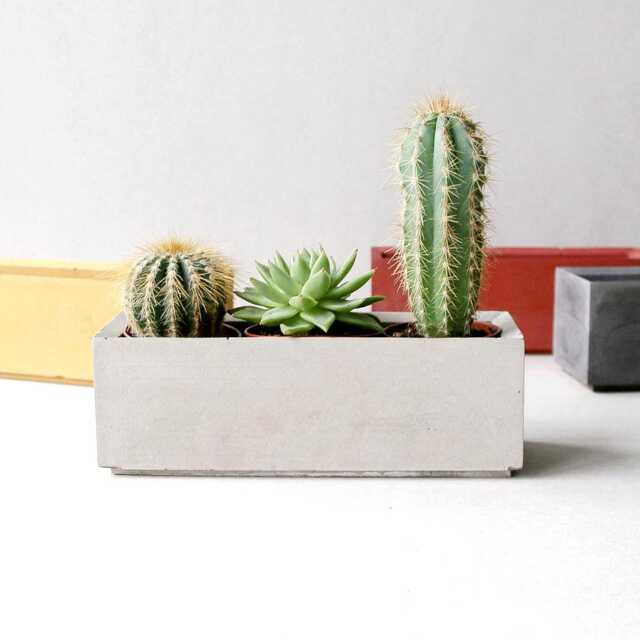 Rectangular Indoor Planter Box, Minimalist Pot, Succulent Plant Holder, Plant Lovers Gift Idea, Concrete Cactus Planter, Unique Pot - image 1