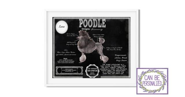 Poodle Antique Architecture Patent Drawing Style Print/Wall Art Poodle Gift/ Akc Breed Info/Home D??cor/ Dog - image 1