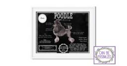 Poodle Antique Architecture Patent Drawing Style Print/Wall Art Poodle Gift/ Akc Breed Info/Home D??cor/ Dog - thumbnail 1
