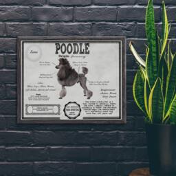 Poodle Antique Architecture Patent Drawing Style Print/Wall Art Poodle Gift/ Akc Breed Info/Home D??cor/ Dog - thumbnail 3