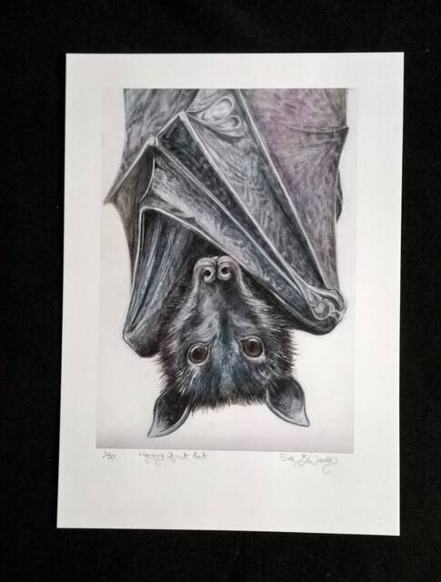 Bat - Hanging Bat Fruit Original Limited Edition Print Gothic Lovers Gift Art- Halloween - image 1