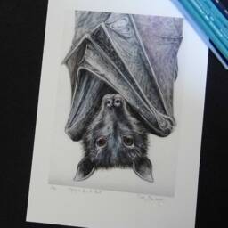 Bat - Hanging Bat Fruit Original Limited Edition Print Gothic Lovers Gift Art- Halloween - thumbnail 3
