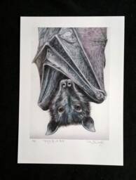 Bat - Hanging Bat Fruit Original Limited Edition Print Gothic Lovers Gift Art- Halloween - thumbnail 1