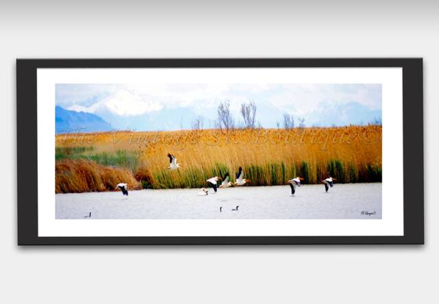 Prints/ Wildlife Printable Wall Art/ Marshlands/ Wildlife/ Birds/Landscapes/ Hunting Lodge Decor/Cabin Decor/Decor/Home Decor - image 1