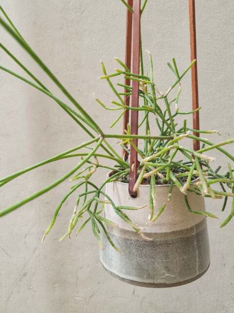 Beige & Gray Hanging Planter With Leather Straps - Minimalist Pottery - image 1