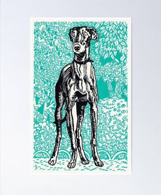 Vintage Greyhound Print, Moriz Jung Nature Print. Print