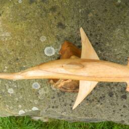 Hand Carved Wooden Shark - Hammerhead On Parasite Wood - thumbnail 3