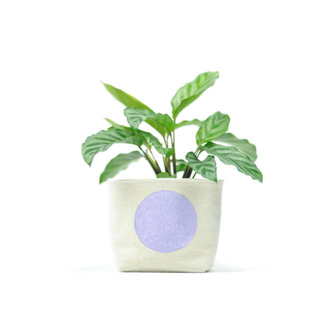 Lavender Dot Fabric Planter, Medium 4 - image 1