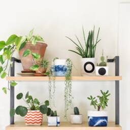 Lavender Dot Fabric Planter, Medium 4 - thumbnail 3