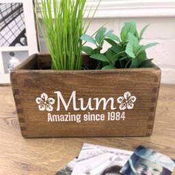 Personalised Pot Planter For Mum - Handcrafted Indoor Wooden Gift Mother Mother's Day - thumbnail 1