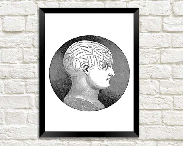 Phrenology Print Vintage Personality Head Art Illustration - image 1