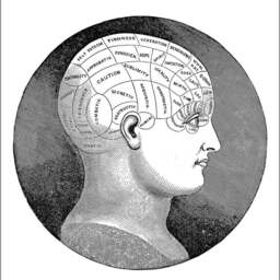 Phrenology Print Vintage Personality Head Art Illustration - thumbnail 2