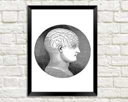 Phrenology Print Vintage Personality Head Art Illustration - thumbnail 1