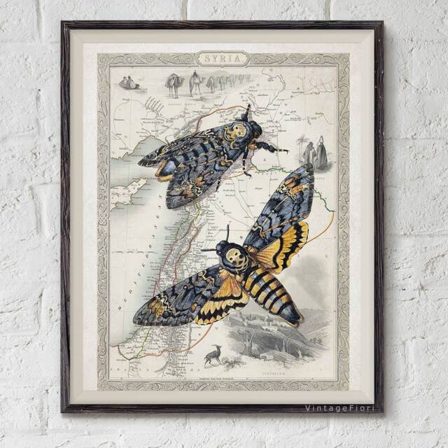 Death's Head Moth Art Print Vintage Map Wall - Digital Download - image 1