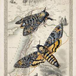 Death's Head Moth Art Print Vintage Map Wall - Digital Download - thumbnail 2