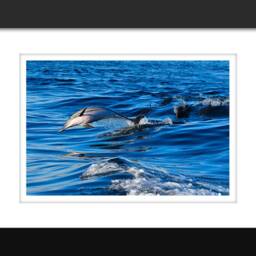 Dolphin Art Print, Dolphins Art, Ocean Print Beach Wall Decor, Poster - thumbnail 2