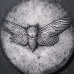 Cicada Concrete Icon Insect Art Wall Sculpture - thumbnail 3