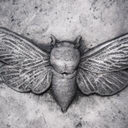 Cicada Concrete Icon Insect Art Wall Sculpture - thumbnail 4