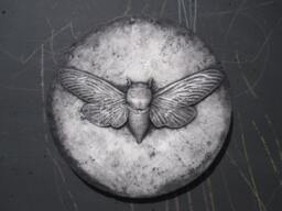 Cicada Concrete Icon Insect Art Wall Sculpture - thumbnail 1