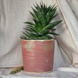 Dark Pink Ceramic Planter, Handmade Glazed Pot, Speckled Plant Large Rose Vessel, Unique British Gift, Handcrafted Pots - thumbnail 1