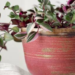 Dark Pink Ceramic Planter, Handmade Glazed Pot, Speckled Plant Large Rose Vessel, Unique British Gift, Handcrafted Pots - thumbnail 2