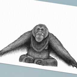 Orangutan Art Print A4 // Pen Drawing, Home Decor, Wildlife Art Print, Animal Black & White Stylish Wall - thumbnail 2