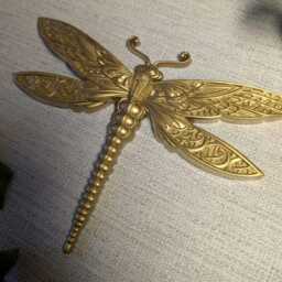 Gold Dragonfly Wall Hanging, Insect Art, Damselfly Decor, Unusual Gift, Bug Bug, Gallery Entomology Gift - thumbnail 3