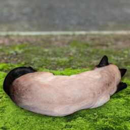 Concrete Siamese Cat Figurine Sleeping Kitty Sculpture Handmade Animal Statue Pet Memorial Decor Outdoor Kitten Ornament Lover Gift - thumbnail 4