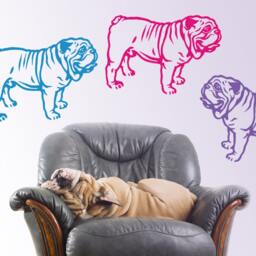 English Bulldog Decal Pet Shop Vinyl Wall Art Sticker - thumbnail 2